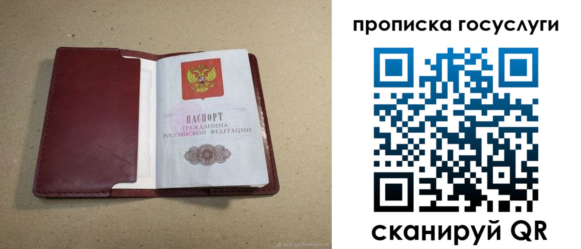 прописка поиск в Заволжске